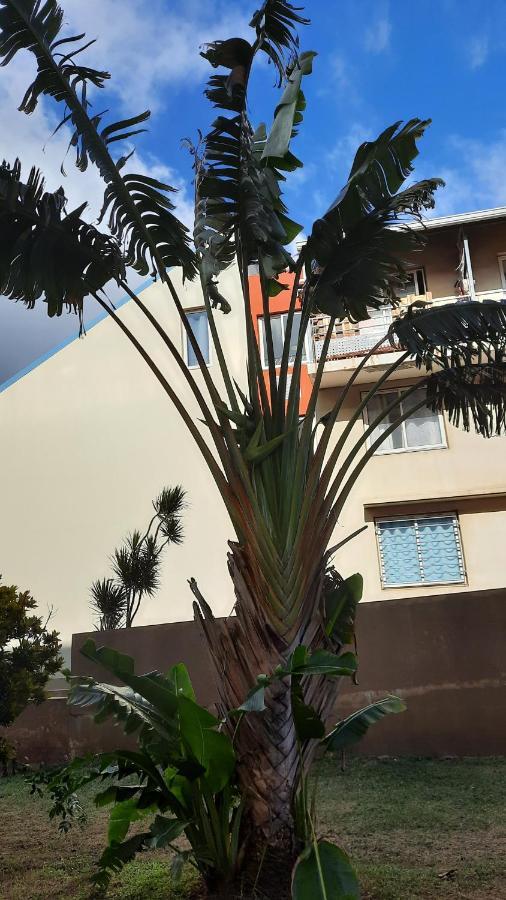 Ferienwohnung Le Voyageur A 1 Mn Du Chu Sud Terre-Sainte, Saint-Pierre Exterior foto